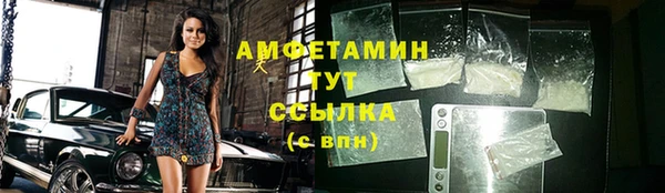 тгк Абаза