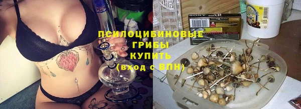 тгк Абаза