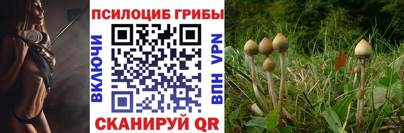 Галлюциногенные грибы Psilocybine cubensis  площадка Telegram  Гусь-Хрустальный 